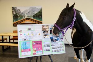 62227726_2810537155654220_8101458675706626048_n